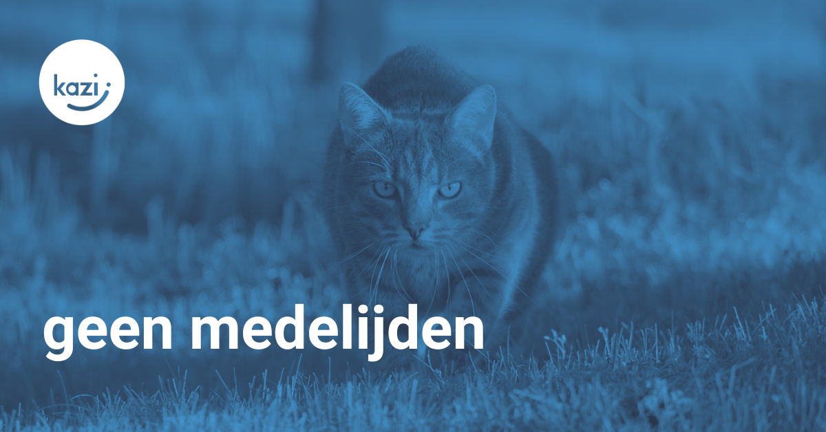 een jagende kat