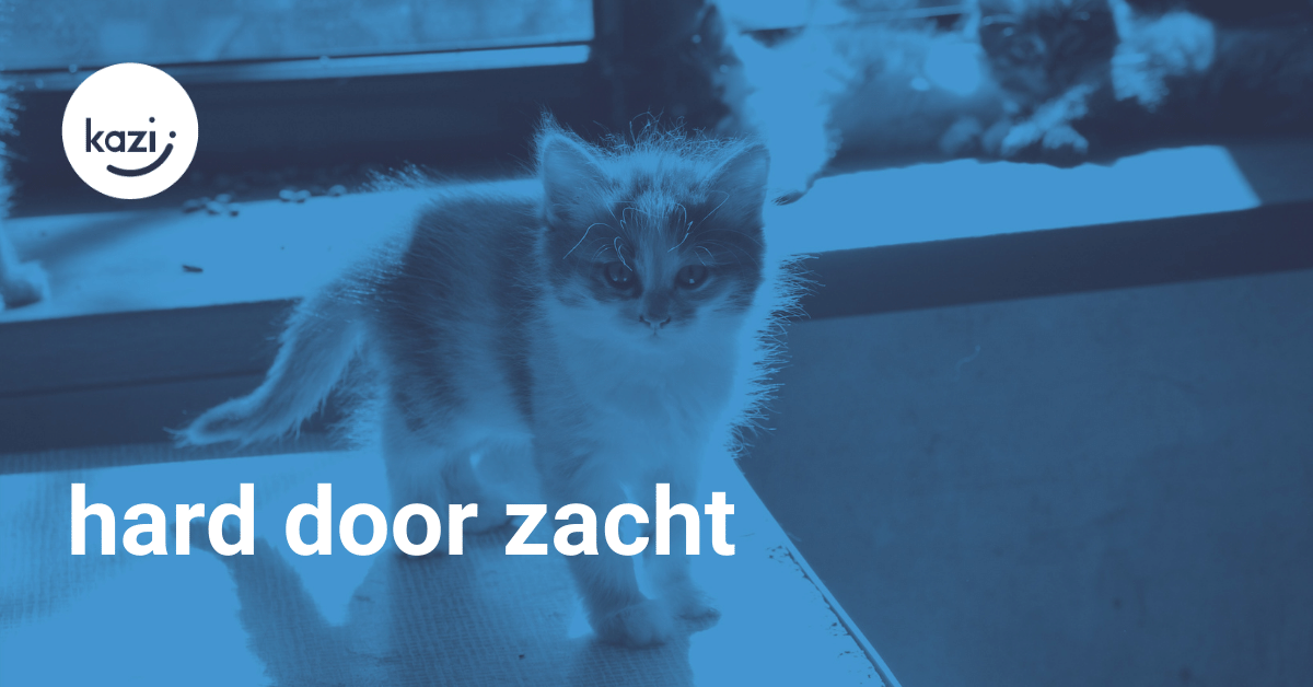 een zacht, jong katje op een tafel